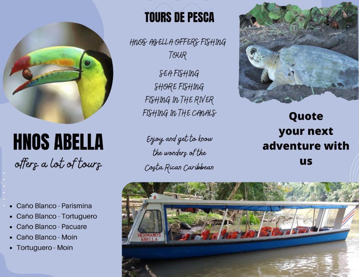 Sleep&Go! Cabina Cuadruple En Siquirres Centro - And Rafting Tour! Siqurres Da Alegria Eksteriør bilde